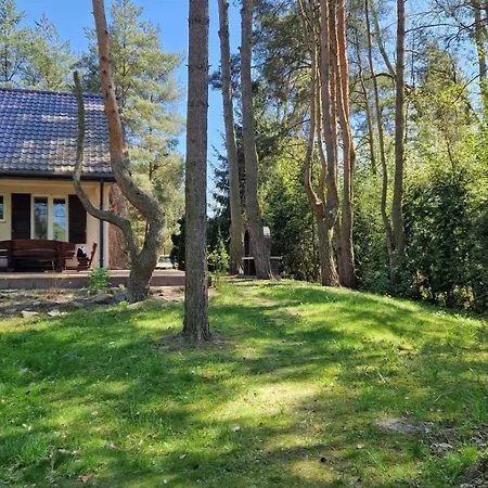 Nad Narwia * Dlugosiodlo