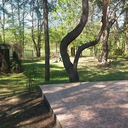 Nad Narwia * Dlugosiodlo